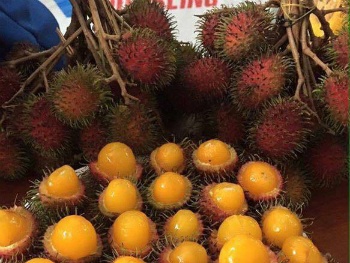 Chôm chôm, vải rừng hút khách mùa nóng