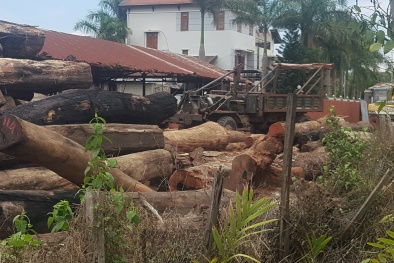 Vụ buôn gỗ lậu ở Đắk Nông: Đình chỉ 4 cán bộ biên phòng
