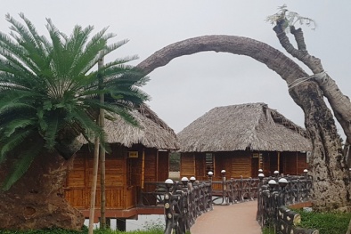 Yêu cầu rà soát trang trại của em trai Bí thư thành phố Thanh Hóa