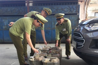 Phát hiện cơ sở kinh doanh thực phẩm chứa 200 lít mật không rõ nguồn gốc 