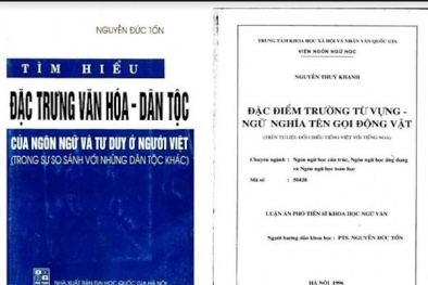 Hội đồng Chức danh Giáo sư Nhà nước đề nghị kiểm tra vụ tố đạo văn