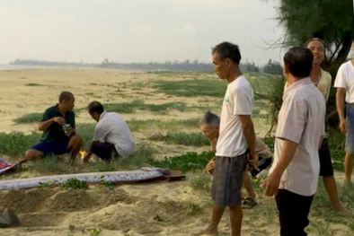 Quảng Bình: Hai con cá ‘rồng biển’ dạt vào bờ biển, có con dài tận 5m, nặng 30kg