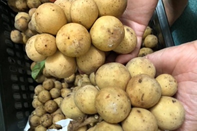 Bòn bon đầu mùa rẻ như cho ở TP.HCM nhưng lại đắt đỏ hơn trái cây nhập khẩu ở Hà Nội