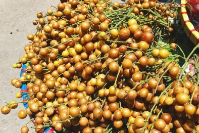Quất hồng bì đầu mùa chín mọng, tiểu thương bán hết cả tạ mỗi ngày