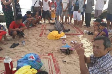Thừa Thiên - Huế: Cá heo đốm nặng 150kg chết dạt vào bờ biển
