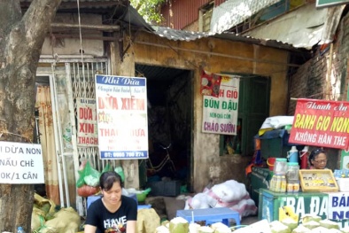 Nắng nóng, cửa hàng dừa bán hàng trăm quả/ngày thu lãi tiền triệu