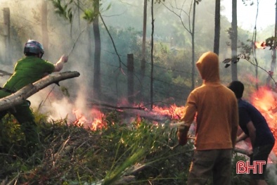 Hà Tĩnh: Cháy lớn nhiều giờ không tắt, hàng chục ha rừng thông bị thiêu rụi