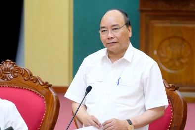 Thủ tướng: Thái Nguyên cần đưa chè tham gia chuỗi giá trị toàn cầu