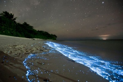 Kỳ lạ dải ánh sáng màu xanh phát sáng giữa vùng biển hàng trăm năm