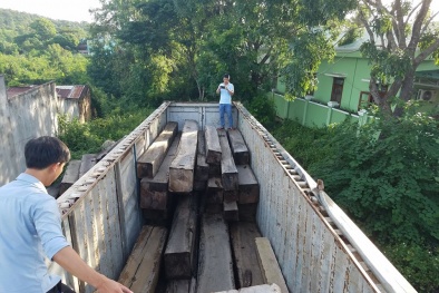 Gia Lai: Bắt giữ xe container chở gần 50m3 gỗ lậu, đề nghị khởi tố vụ án