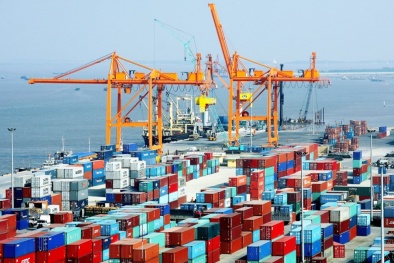 Chuyên gia kinh tế Phạm Chi Lan: Cần có gói cải cách toàn diện 'ngang dọc' đột phá xuất khẩu