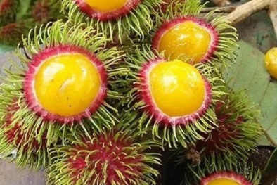 Chôm chôm ruột vàng lại tái xuất gây ‘sốt’ thị trường Hà Nội