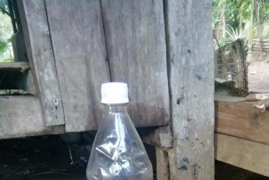 Lại ngộ độc rượu ngâm rễ cây khiến hai người thiệt mạng