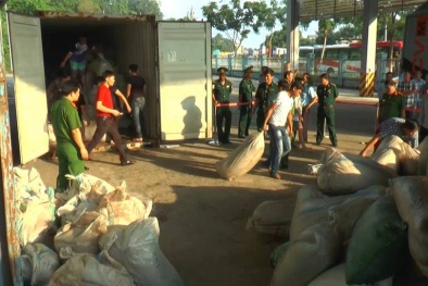 Cận cảnh lô hàng 10 tấn ngà voi và vẩy tê tê tuồn về Việt Nam tiêu thụ