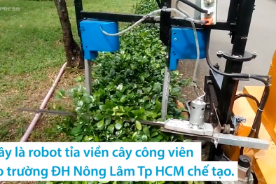 Sinh viên TP Hồ Chí Minh chế tạo robot tỉa cây