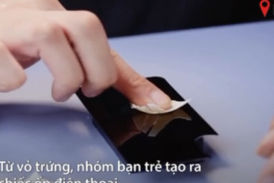 Làm ốp điệp thoại từ vỏ trứng bán giá 2 triệu ở Hà Nội