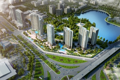 Chủ đầu tư chính thức lên tiếng về thông tin liên quan đến dự án D’. Capitale