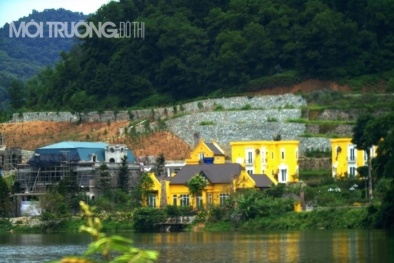 Hà Nội: Quả bóng trách nhiệm phá rừng Sóc Sơn được đùn đẩy thế nào?