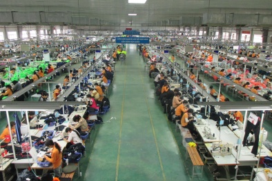 Nguyên nhân khiến năng suất lao động của Việt Nam ở mức thấp