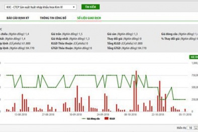 Tạo cung cầu giả, thao túng cổ phiếu, một cá nhân bị phạt 550 triệu đồng