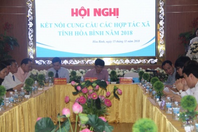 Xúc tiến thương mại hợp tác xã là then chốt quan trọng để đẩy mạnh cung cầu