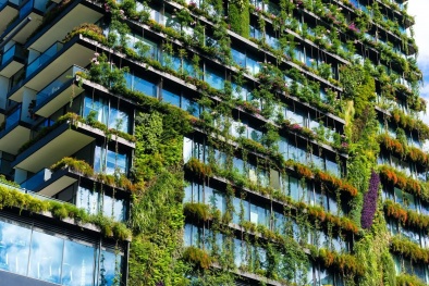 Sống xanh giữa nội đô với căn hộ FLC Green Apartment