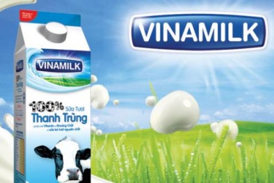 Nếu đầu tư 100 triệu mua cổ phiếu Vinamilk 10 năm trước, giờ bạn thành tỷ phú thế nào?