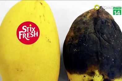 Nhãn dán đặc biệt giúp hoa quả tươi lâu hơn 10 ngày