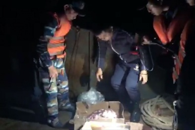 Tạm giữ 7 tàu Trung Quốc chở 500 tấn nội tạng động vật