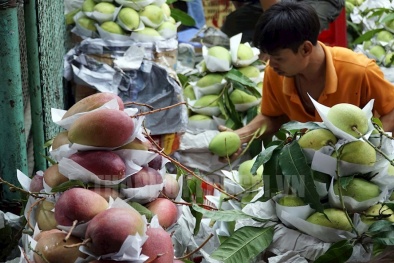 Đưa chợ đầu mối vào 'chuẩn', hàng hóa sẽ được kiểm soát chặt chất lượng 