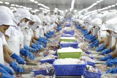 Nếu đầu năm bạn ‘đổ’ 100 triệu vào công ty thủy sản này, khoản tiền nay tăng 100%