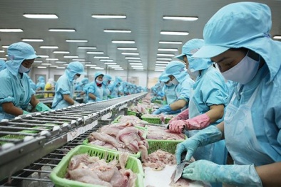 Nhận diện thuận lợi và khó khăn trong triển khai áp dụng ISO 22301