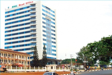 Nợ thuế 55 tỷ đồng, tập đoàn của bầu Đức đổ lỗi... do sơ suất nên bỏ sót