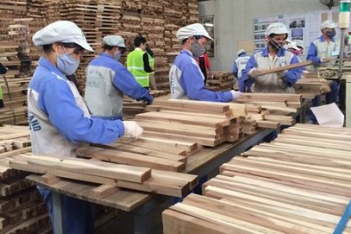 Một năm 'rực rỡ' của xuất khẩu nông sản