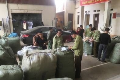 Lạng Sơn liên tiếp thu giữ lượng lớn hàng hóa vi phạm nguồn gốc xuất xứ
