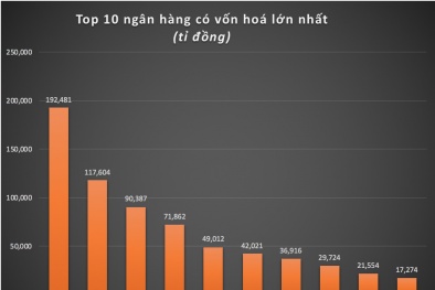 Nhìn lại một năm cổ phiếu ngân hàng, tìm kiếm triển vọng cho năm 2019