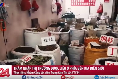 Dược liệu dùng chữa bệnh nhưng thực chất chỉ là rác thuốc 