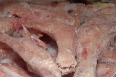 Lào Cai tiêu hủy 800 kg thực phẩm đông lạnh không nguồn gốc