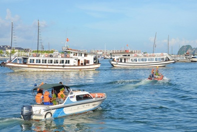 Đình chỉ hoạt động hàng loạt tàu du lịch không đảm bảo chất lượng trên Vịnh Hạ Long