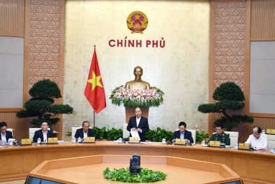 ‘Chính phủ tạo sức ép, nhưng nhiều nơi chưa thực tâm cải cách’