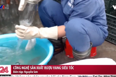 Công nghệ sản xuất rượu vang siêu tốc