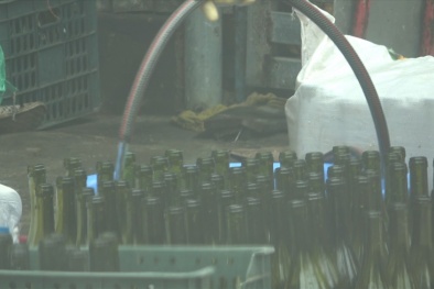 Video: Sản xuất rượu vang ngang nước khoáng với quy trình ít ai ngờ