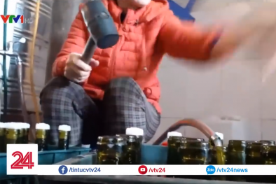 Thâm nhập cơ sở sản xuất rượu tết siêu tốc có 'ô to'