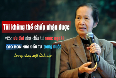 Chuyên gia Phạm Chi Lan: 'Chúng ta có thể biến nội lực thành sức mạnh cho nền kinh tế Việt Nam'