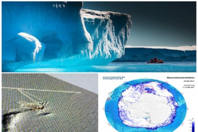 Những hiện tượng kỳ lạ tại Nam Cực khiến nhà khoa học bối rối