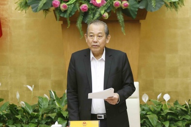 Tổng kết phòng chống tội phạm, buôn lậu, Phó Thủ tướng giao nhiệm vụ cụ thể từng bộ, ngành