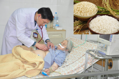 Nhà khoa học Việt Nam tìm ra chất chống bệnh tiểu đường từ gạo trắng