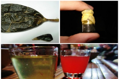 Uống rượu ngâm mật động vật 'lợi bất cập hại' tránh lạm dụng ngày Tết