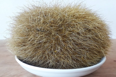 Sóc Trăng: Mổ lợn ăn Tết, phát hiện dị vật nghi trư sa quý hiếm