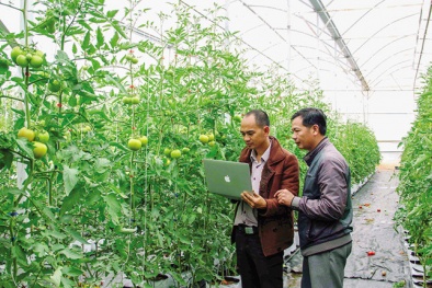 Đưa nông nghiệp 4.0 Việt Nam ra nước ngoài